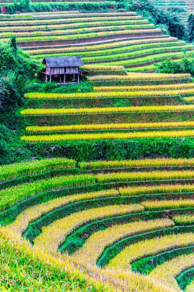 Tájkép kilátás rizsföldek Mu Cang Chai kerület, Vietnam — Stock Fotó