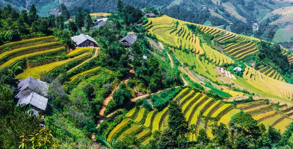 Landskapsbild av risfält i Mu Cang Chai District, Vietnam — Stockfoto