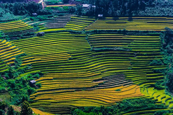 Tájkép kilátás rizsföldek Mu Cang Chai kerület, Vietnam — Stock Fotó