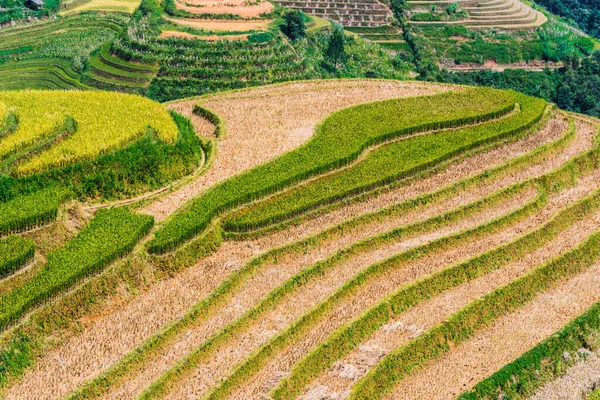 Veduta panoramica delle risaie nel distretto di Mu Cang Chai, Vietnam — Foto Stock