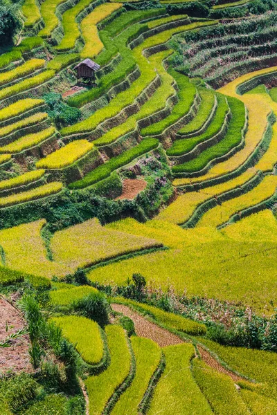 Vista paisagem de campos de arroz no distrito de Mu Cang Chai, VIetnam — Fotografia de Stock