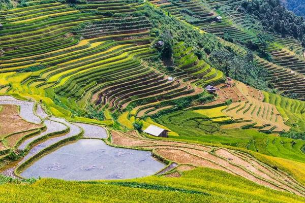 Krajinný pohled na rýžová pole v okrese Mu Cang Chai, Vietnam — Stock fotografie