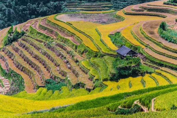 Veduta panoramica delle risaie nel distretto di Mu Cang Chai, Vietnam — Foto Stock