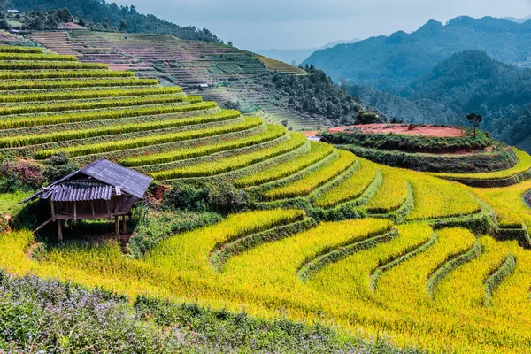 Landschap uitzicht op rijstvelden in Mu Cang Chai District, Vietnam — Stockfoto