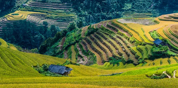 Veduta panoramica delle risaie nel distretto di Mu Cang Chai, Vietnam — Foto Stock