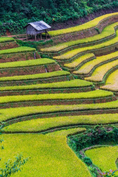 Vista paisagem de campos de arroz no distrito de Mu Cang Chai, VIetnam — Fotografia de Stock