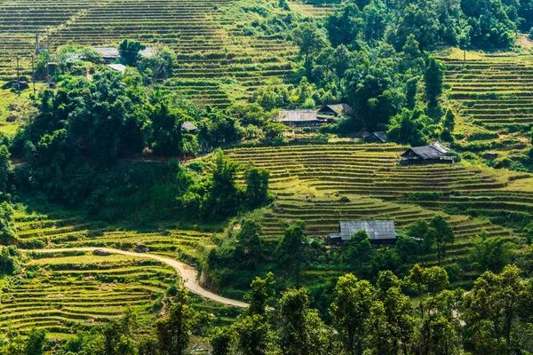 Vista da paisagem do Vale de Sapa, na província de Lao Cai, no Vietnã — Fotografia de Stock