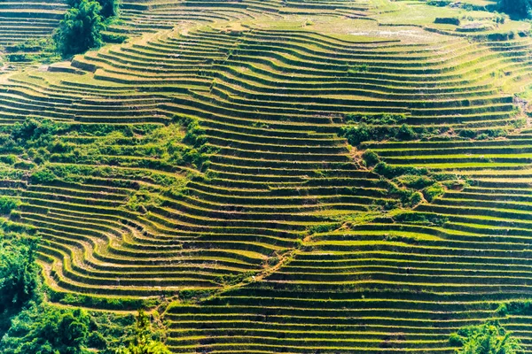 Пейзаж долины Сапа в провинции Лао Цай во Вьетнаме — стоковое фото