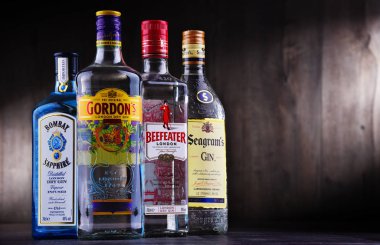 Dört şişe popüler cin markası.