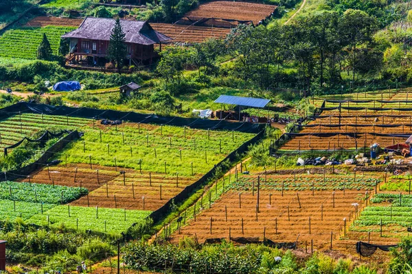 Small scale agriculture in Sapa, Vietnam — Stock Photo, Image