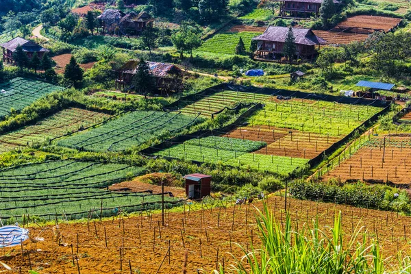 Malé zemědělství v Sapa, Vietnam — Stock fotografie