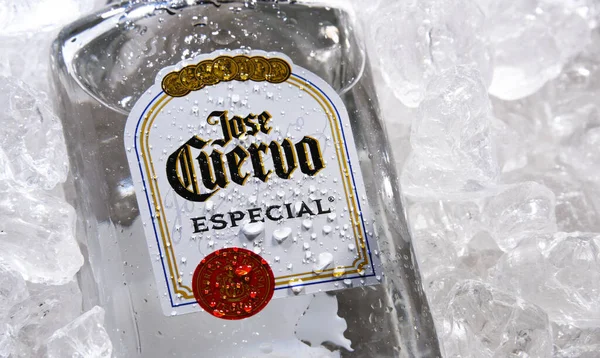 Poznan Pol May 2020 Bottle Jose Cuervo Brand Best Selling — Stock Photo, Image