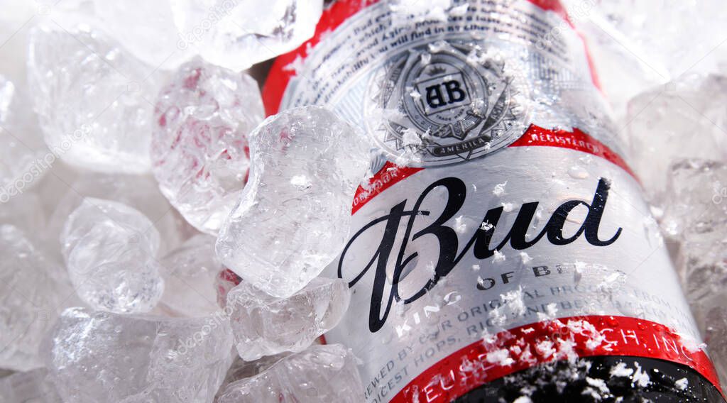 POZNAN, POL - MAY 22, 2020: Bottle of Bud beer, an American-style pale lager produced by Anheuser-Busch, introduced in St. Louis, Missouri in 1876.
