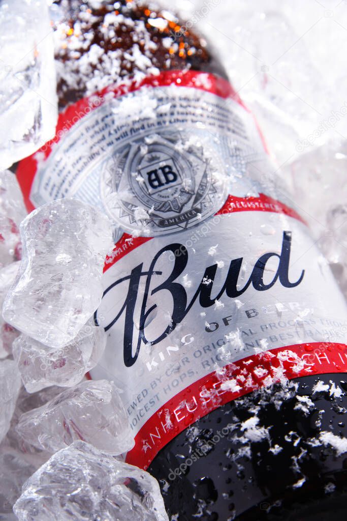 POZNAN, POL - MAY 22, 2020: Bottle of Bud beer, an American-style pale lager produced by Anheuser-Busch, introduced in St. Louis, Missouri in 1876.