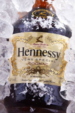POZNAN, POL - 28 Mayıs 2020: bir şişe Hennessy, Fransa 'nın Konyak kentinden ünlü bir konyak markası