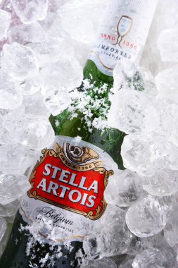 POZNAN, POL - 28 Mayıs 2020: bir şişe Stella Artois, Anheuser-Busch InBev markası. 1926 'dan beri Leuven, Belçika' da üretilen bir pilsner.