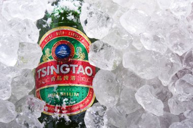 POZNAN, POL - 28 Mayıs 2020: Çin 'in Shandong eyaletindeki ikinci büyük bira fabrikası Tsingtao Bira Fabrikası' nın ürünü Tsingtao Biraları