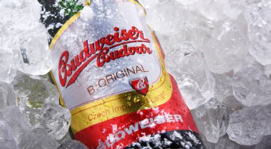 POZNAN, POL - 10 Haziran 2020: Çek Cumhuriyeti 'nin en çok satan biralarından biri olan Budweiser Budvar, Budweiser Brewery tarafından Ceske Budejovice' de üretilen 60 'tan fazla ülkeye ihraç edildi.