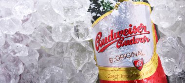 POZNAN, POL - 10 Haziran 2020: Çek Cumhuriyeti 'nin en çok satan biralarından biri olan Budweiser Budvar, Budweiser Brewery tarafından Ceske Budejovice' de üretilen 60 'tan fazla ülkeye ihraç edildi.