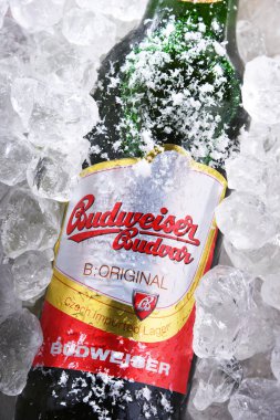 POZNAN, POL - 10 Haziran 2020: Çek Cumhuriyeti 'nin en çok satan biralarından biri olan Budweiser Budvar, Budweiser Brewery tarafından Ceske Budejovice' de üretilen 60 'tan fazla ülkeye ihraç edildi.