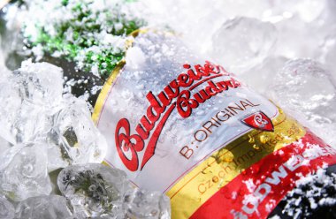 POZNAN, POL - 10 Haziran 2020: Çek Cumhuriyeti 'nin en çok satan biralarından biri olan Budweiser Budvar, Budweiser Brewery tarafından Ceske Budejovice' de üretilen 60 'tan fazla ülkeye ihraç edildi.