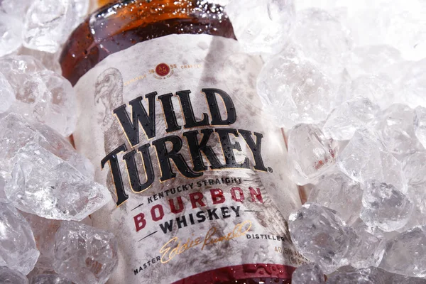 Poznan Pol Maggio 2020 Bottiglia Wild Turkey Marchio Whisky Kentucky — Foto Stock