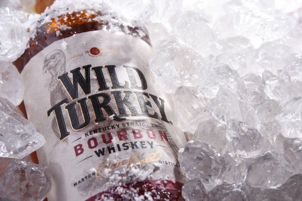 Poznan Pol Maggio 2020 Bottiglia Wild Turkey Marchio Whisky Kentucky — Foto Stock