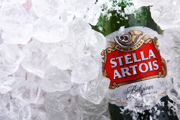 Poznan Pol Mayo 2020 Botella Stella Artois Marca Prominente Anheuser — Foto de Stock