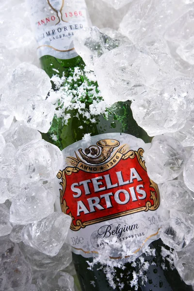Poznan Pol May 2020 Bottle Stella Artois 著名品牌Anheuser Busch Inbev — 图库照片