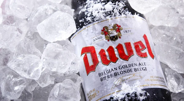 Poznan Pol Junio 2020 Botella Duvel Una Cerveza Insignia Duvel —  Fotos de Stock