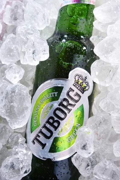 Poznan Pol Jun 2020 Garrafa Cerveja Tuborg Produzida Por Uma — Fotografia de Stock