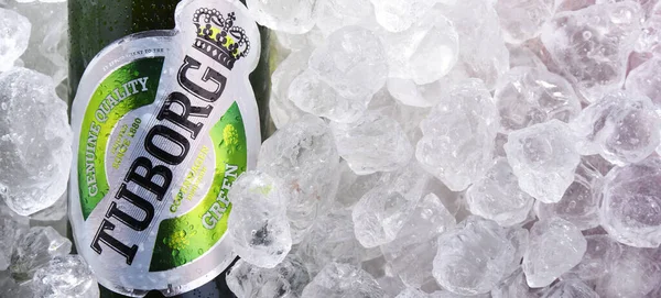 Poznan Pol Junio 2020 Botella Cerveza Tuborg Producida Por Una —  Fotos de Stock