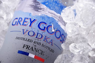 POZNAN, POL - 1 Temmuz 2020: Bir şişe Grey Goose, 1990 'larda Sidney Frank tarafından üretilen bir Fransız votkası.
