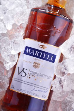 POZNAN, POL - 18 Haziran 2020: Bir şişe Martell Cognac, 1715 yılında Fransız şarap ve alkol konsolosu Pernod-Ricard 'ın sahibi olduğu bir marka..