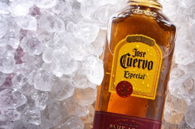 POZNAN, POL - 18 Haziran 2020: Dünyadaki en çok satan tekila markası olan Jose Cuervo 'nun dünya çapında tekila piyasasında% 35.1' lik payı bulunuyor.