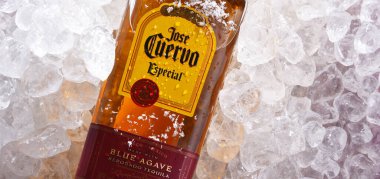 POZNAN, POL - 18 Haziran 2020: Dünyadaki en çok satan tekila markası olan Jose Cuervo 'nun dünya çapında tekila piyasasında% 35.1' lik payı bulunuyor.