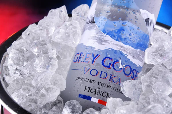 Poznan Pol Jul 2020 Bottle Grey Goose Marchio Vodka Francese — Foto Stock