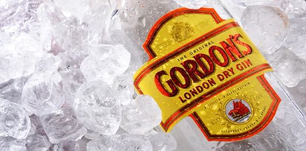 Poznan Pol Junio 2020 Botella Gordon London Dry Una Marca —  Fotos de Stock