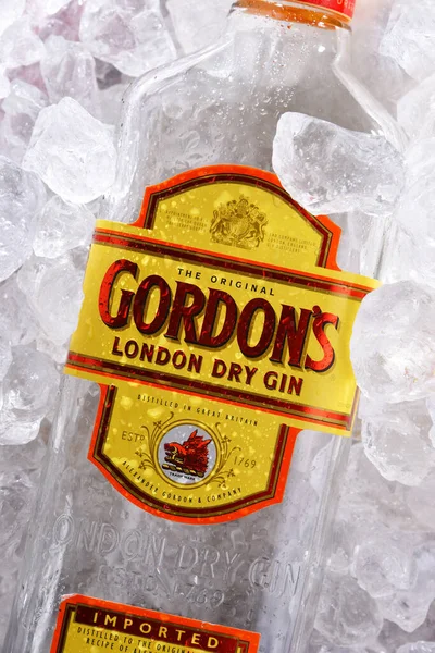 Poznan Pol Jun 2020 Bottle Gordon London Dry Brand World — Stock Photo, Image