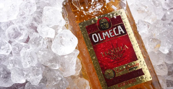 Poznan Pol Jun 2020 Fles Olmeca Populair Merk Tequila Geproduceerd — Stockfoto