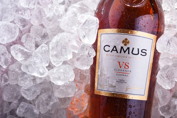 Poznan Pol Jun 2020 Fles Camus Cognac Een Merk Opgericht — Stockfoto