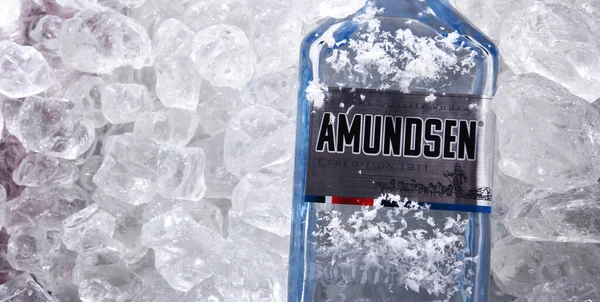 Poznan Pol Juin 2020 Bouteille Vodka Amundsen Une Marque Vodka — Photo