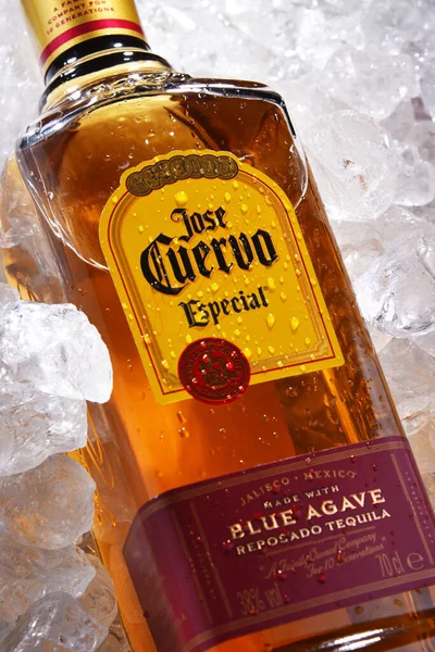 Poznan Pol Jun 2020 Bottle Jose Cuervo Brand Best Selling — Stock Photo, Image