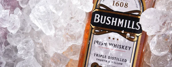 Poznan Pol Juin 2020 Bouteille Bushmills Original Whisky Irlandais Produit — Photo