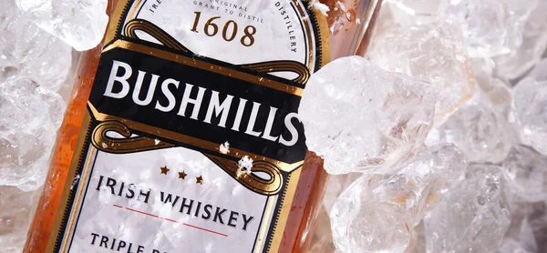 Poznan Pol Juin 2020 Bouteille Bushmills Original Whisky Irlandais Produit — Photo