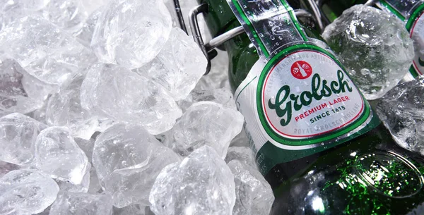 Познан Пол Июня 2020 Бутылки Grolsch Premium Pilsner Известного Всем — стоковое фото