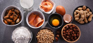 Yumurta, süt, soya, fıstık, fındık, balık, deniz ürünleri ve buğday unu gibi ortak gıda alerjisi olan bileşim