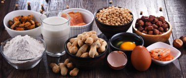 Yumurta, süt, soya, fıstık, fındık, balık, deniz ürünleri ve buğday unu gibi ortak gıda alerjisi olan bileşim