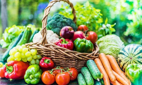 Variety Fresh Organic Vegetables Fruits Garden Balanced Diet — Stock Photo, Image