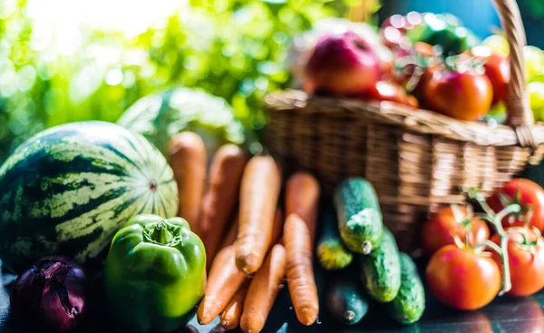 Variedad Verduras Frutas Orgánicas Frescas Jardín Dieta Equilibrada —  Fotos de Stock